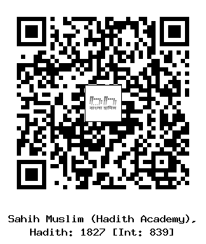 Hadith QR