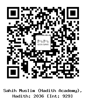 Hadith QR