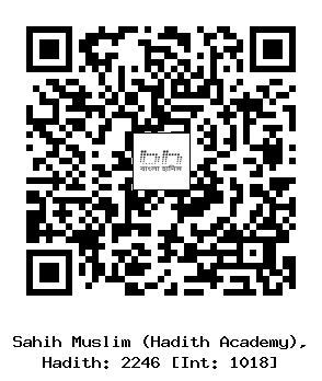 Hadith QR