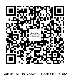 Hadith QR