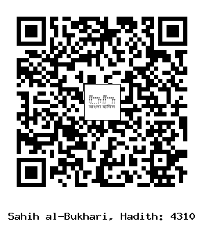 Hadith QR