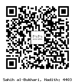 Hadith QR