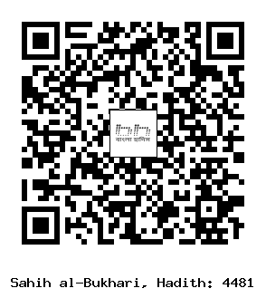 Hadith QR