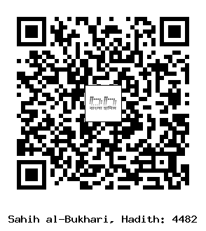 Hadith QR