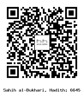 Hadith QR