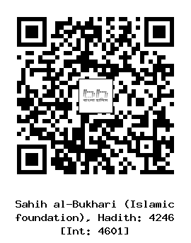 Hadith QR