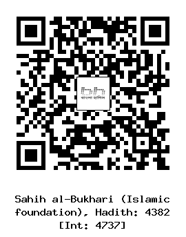 Hadith QR