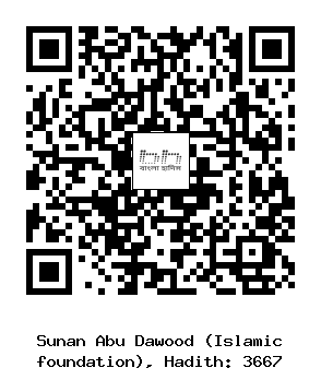 Hadith QR